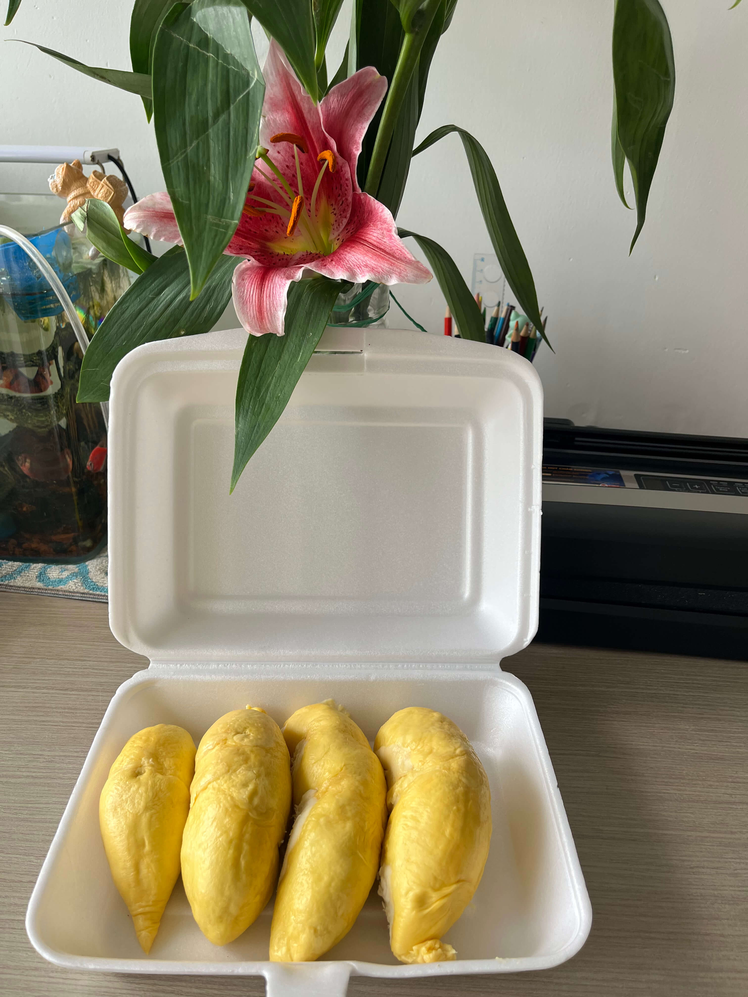 Sầu riêng RI6 - Vàng óng